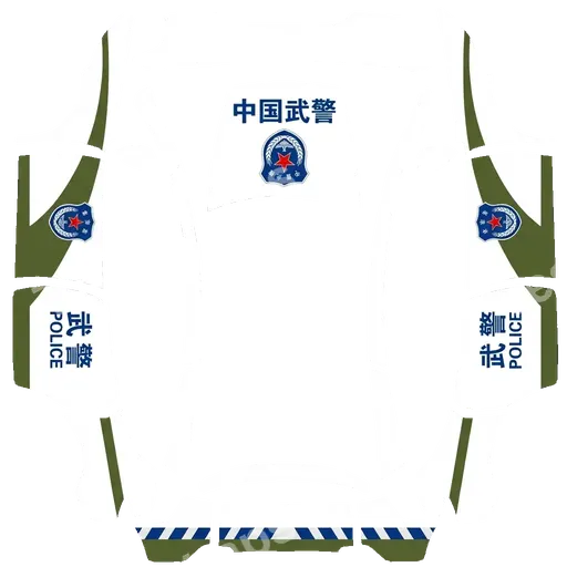Tesla Model Y L 2025+ — PNG-Wrap-Textur: 中国武警